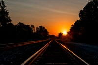 D80_1003