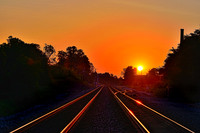 D80_0999